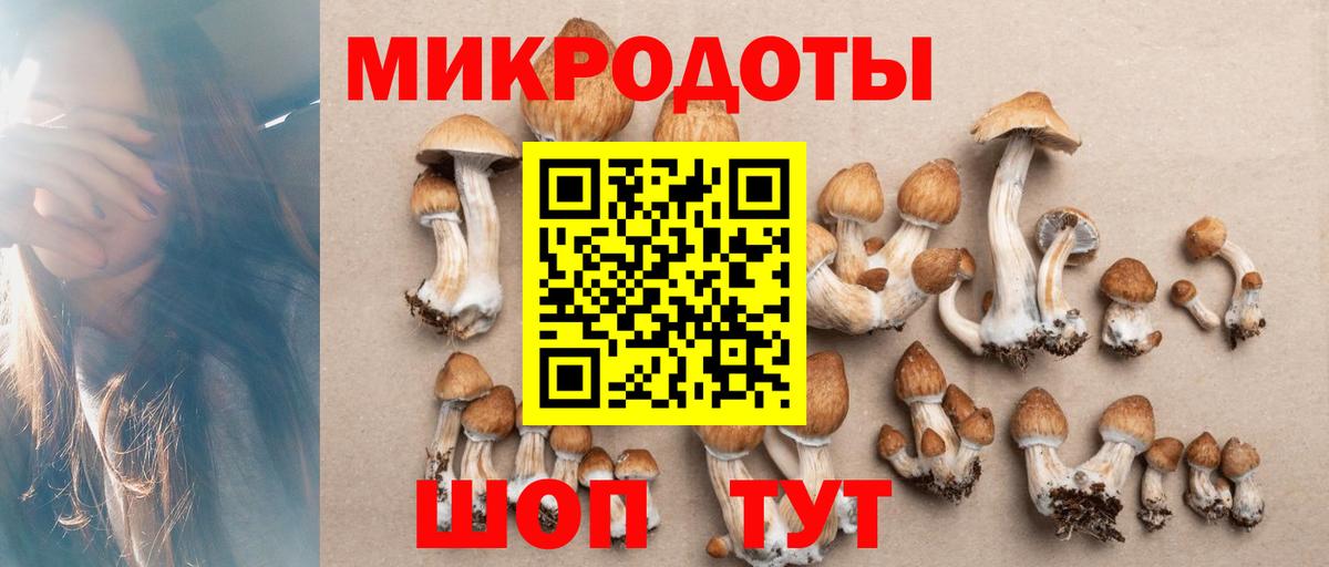 Галлюциногенные грибы мицелий Алейск