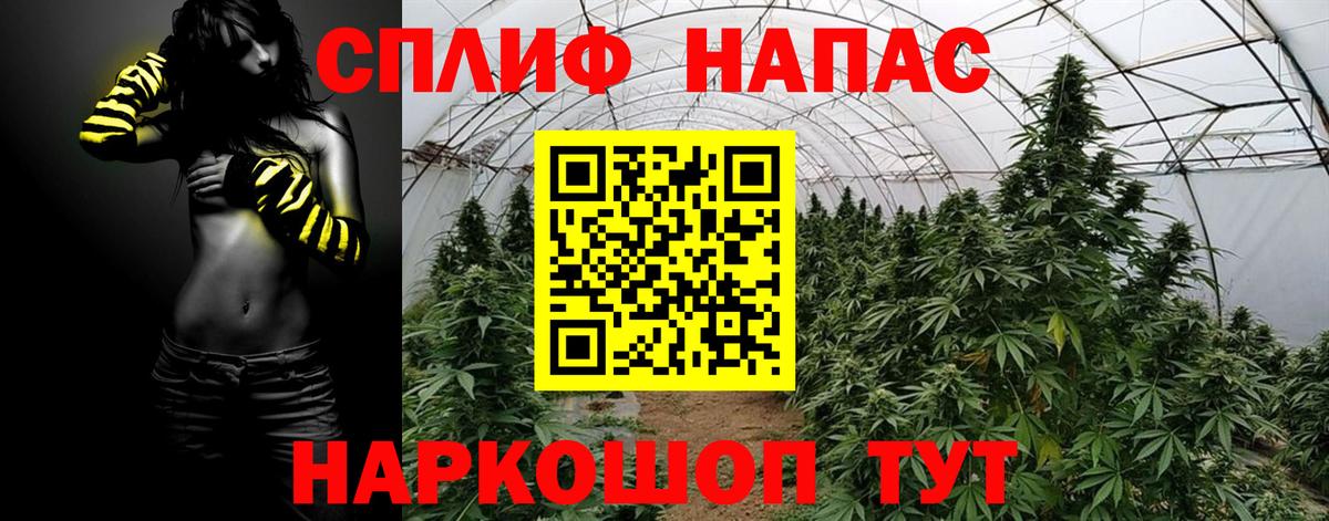 МАРИХУАНА тримм  Вход с VPN  Алейск  Бошки марихуана MAZAR  МАРИХУАНА конопля  МАРИХУАНА Bruce Banner 